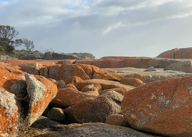 pexels-julie-sergeant-2149635091-30763274 copy