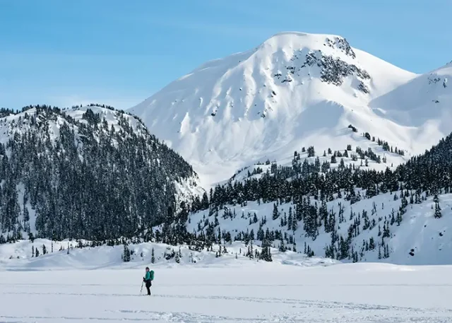 pexels-maximilian-ruther-199439233-11589787 copy