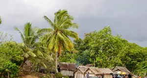 Citizenship of Vanuatu in 2025: current cost and conditions Vanuatu Development Support Program