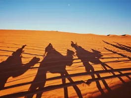 Morocco’s Imperial Cities & Sahara Deserts: A Journey Through Timeless Beauty