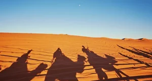 Morocco’s Imperial Cities & Sahara Deserts: A Journey Through Timeless Beauty