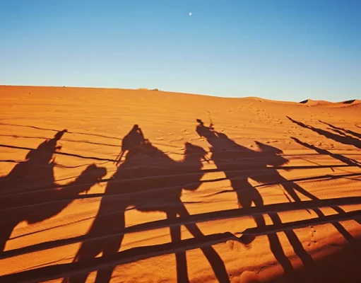 Morocco’s Imperial Cities & Sahara Deserts: A Journey Through Timeless Beauty