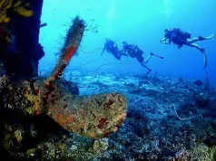 Wreck Diving In Paradise: Explore the Sunken Nahoon