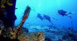 Wreck Diving In Paradise: Explore the Sunken Nahoon