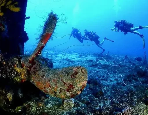 Wreck Diving In Paradise: Explore the Sunken Nahoon