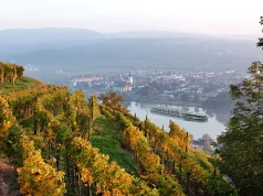 Scenic Luxury Cruises & Tours Introduces 2026 Tastes of Discovery Series