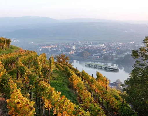 Scenic Luxury Cruises & Tours Introduces 2026 Tastes of Discovery Series