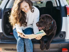 How to Choose the Best Pet-Friendly Rental Car for Your Vacation