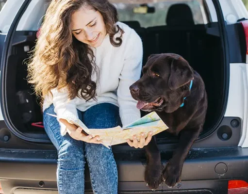 How to Choose the Best Pet-Friendly Rental Car for Your Vacation