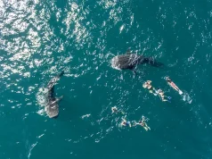 Warm and cozy winter vacation in La Paz, Baja California Sur