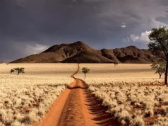 African Tourism Board Identifies Namibia as Africa’s Most Authentic and Demanding Tourism Destination