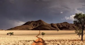 African Tourism Board Identifies Namibia as Africa’s Most Authentic and Demanding Tourism Destination