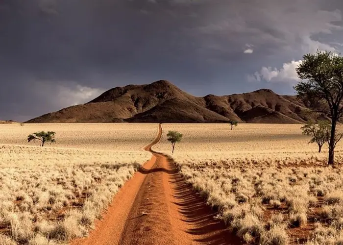 namibia-destination copy