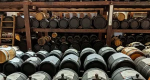 Discover Things to Do in Modena: Where Italian Tradition Meets Modern Culture