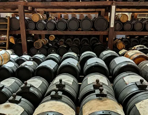 Discover Things to Do in Modena: Where Italian Tradition Meets Modern Culture