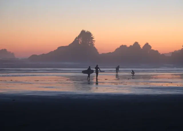 silhouettes-of-surfers-on-a-hazy-beach-after-sunse-2024-12-05-23-56-57-utc copy