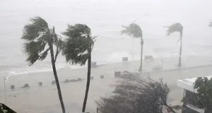 How to Prepare Your Home Before a Major Hurricane