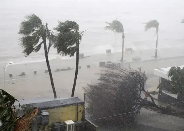 strong-wind-effects-hurricane-norma-october-2023-la-paz-baja-california-sur copy