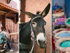 Through the Lens: A Photographic Journey Told in Color, Shadow, and Silence