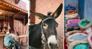 Through the Lens: A Photographic Journey Told in Color, Shadow, and Silence