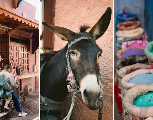 Through the Lens: A Photographic Journey Told in Color, Shadow, and Silence