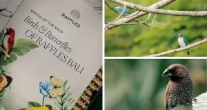 Raffles Bali Introduces “Wings of the Wild”
