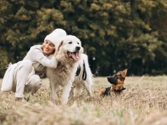 The Top 3 Best Dog Trainers in Lansing MI