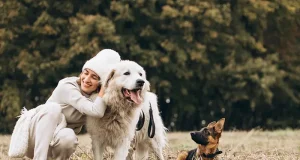 The Top 3 Best Dog Trainers in Lansing MI