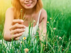 Travel Wellness Guide: Can Dandelion and Burdock Support Your Detox Journey