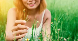 Travel Wellness Guide: Can Dandelion and Burdock Support Your Detox Journey