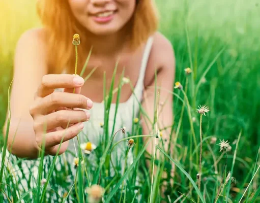 Travel Wellness Guide: Can Dandelion and Burdock Support Your Detox Journey