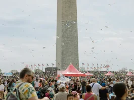 Top Spots for Craft Beer Lovers in DC