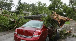 What to Know About Travel-Related Accidents