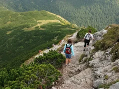 Why Hiking in Slovenia Feels Balanced Without Feeling Flat