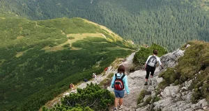Why Hiking in Slovenia Feels Balanced Without Feeling Flat