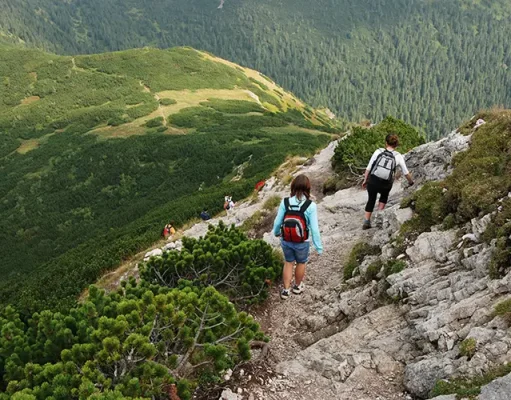 Why Hiking in Slovenia Feels Balanced Without Feeling Flat