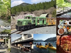 Japan: A Journey Woven by Forests, Fermentation, and a Heritage Railway Near Kyoto and Osaka