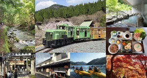 Japan: A Journey Woven by Forests, Fermentation, and a Heritage Railway Near Kyoto and Osaka