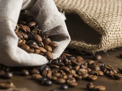 Top 5 Specialty Coffee Bean Providers in Canada