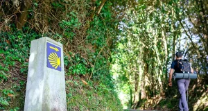 Why the Camino Stops Feeling Special and Starts Working