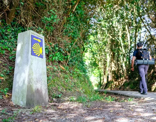 Why the Camino Stops Feeling Special and Starts Working