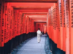 A Guide to Travelling in Japan