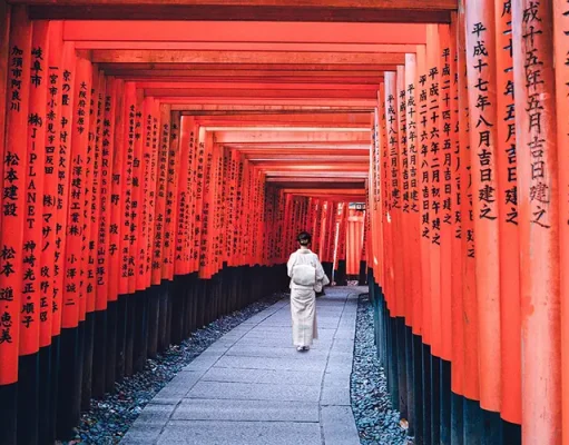 A Guide to Travelling in Japan