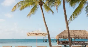 Spring Reimagined: An Elevated Adults-Only Escape at Almare Resort, Isla Mujeres