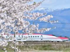 Beyond Tokyo: Eight Cherry Blossom Destinations