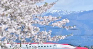 Beyond Tokyo: Eight Cherry Blossom Destinations
