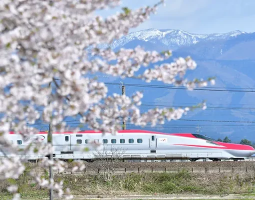 Beyond Tokyo: Eight Cherry Blossom Destinations