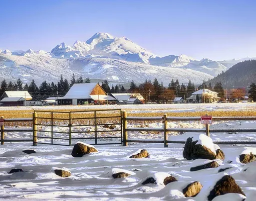 A Valley Made for Visiting | February Happenings in Skagit Valley