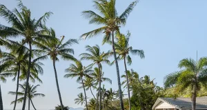 A New Chapter on the Great Barrier Reef: Orpheus Island Lodge Reopening July 2026