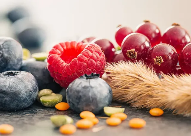natural-background-with-different-wild-berries-macro-shot copy